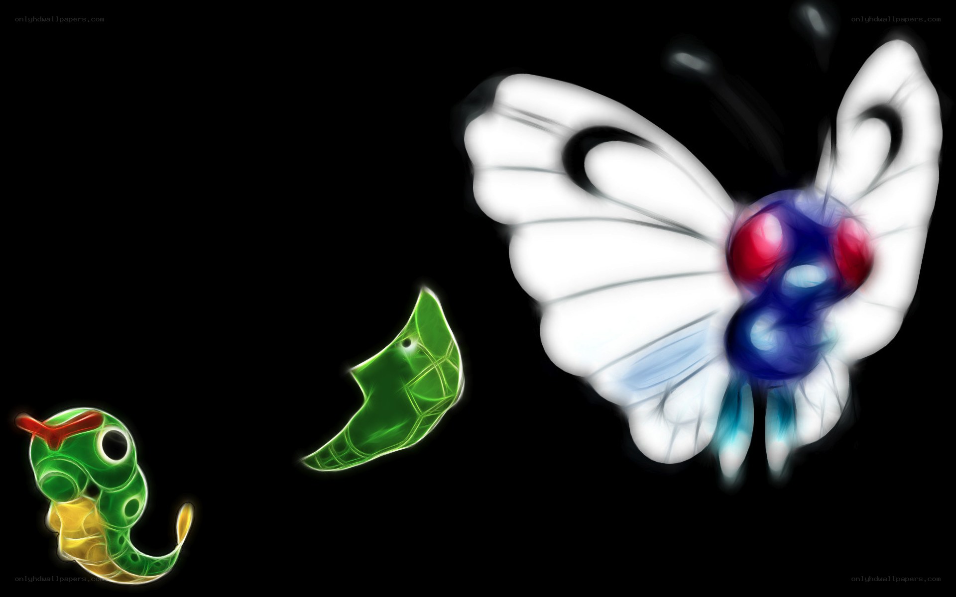 Butterfree evolution stages
