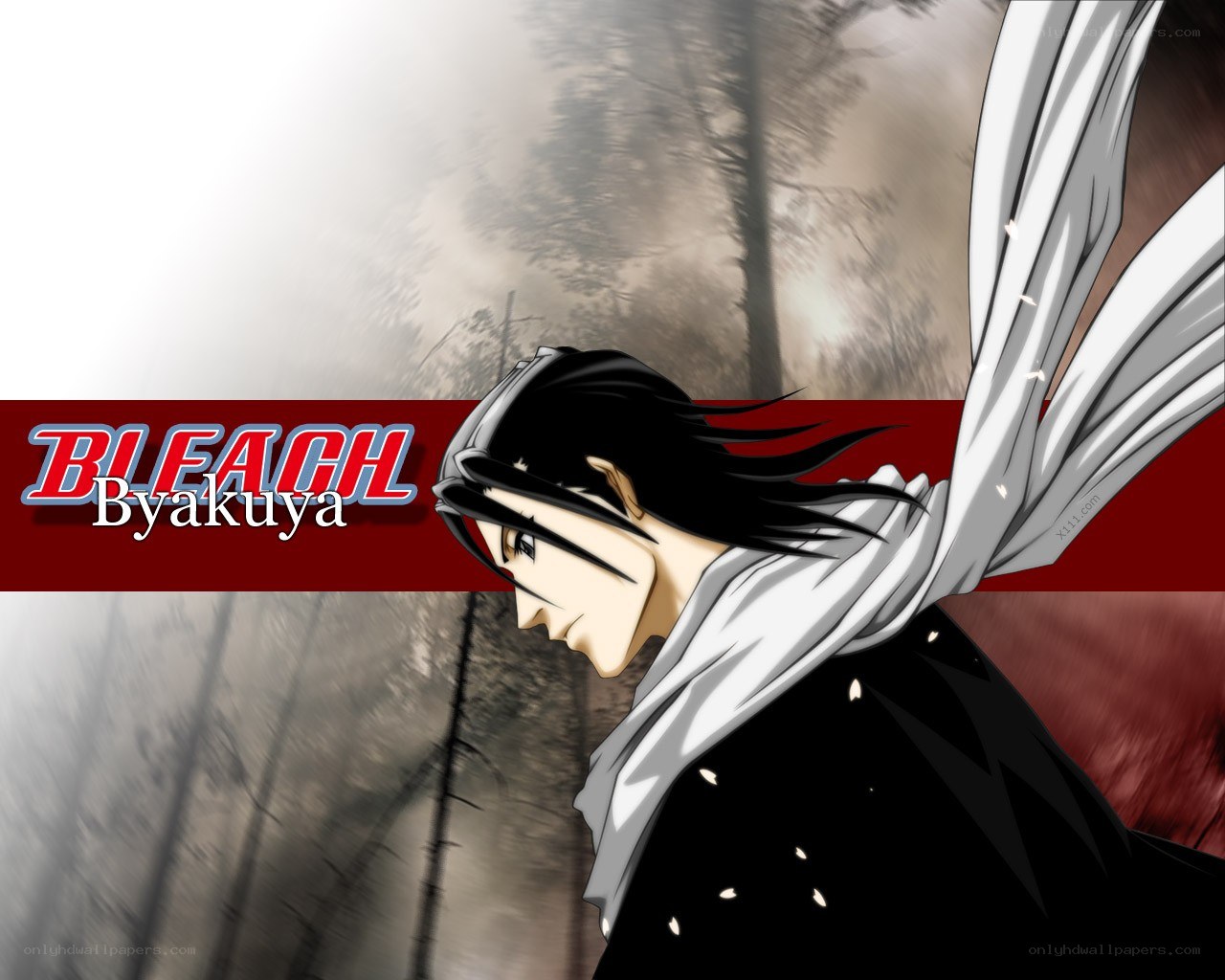 Byakuya from Bleach
