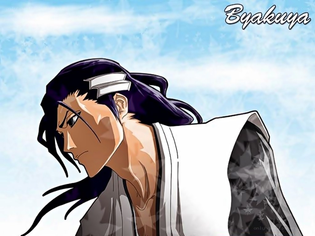 Byakuya Kuchiki from Bleach
