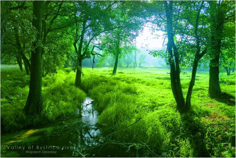Bystrica River Valley