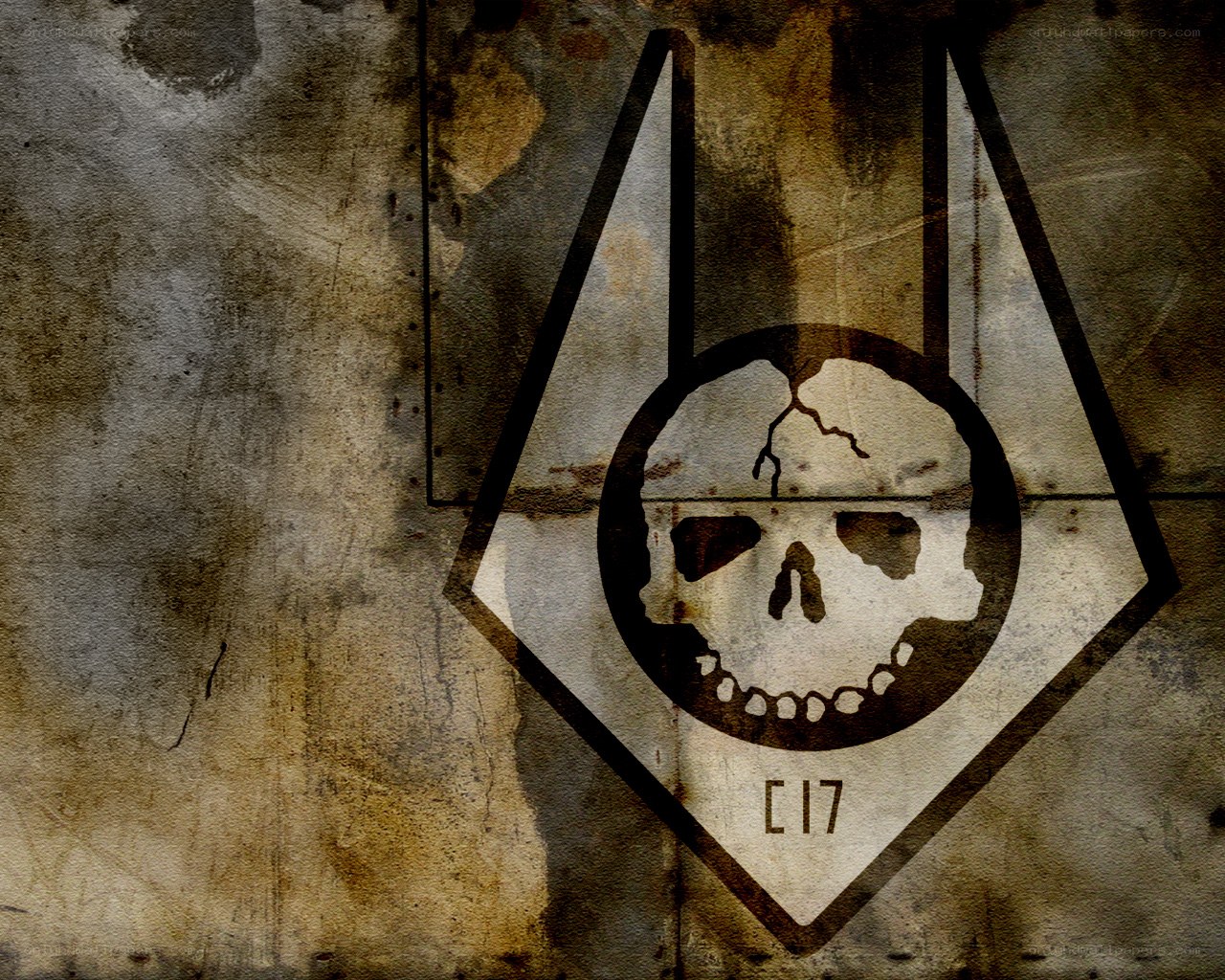 C-17 Skull Emblem