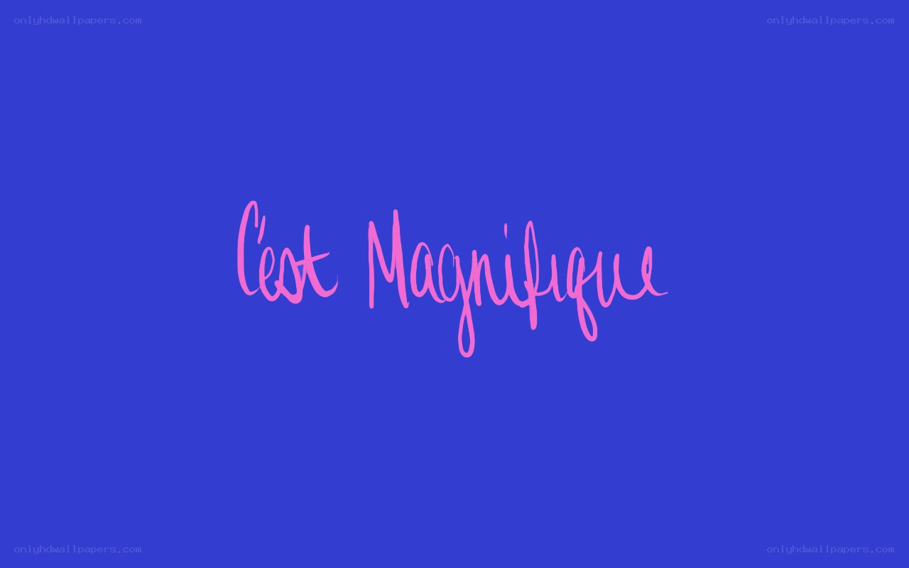 c'est magnifique text