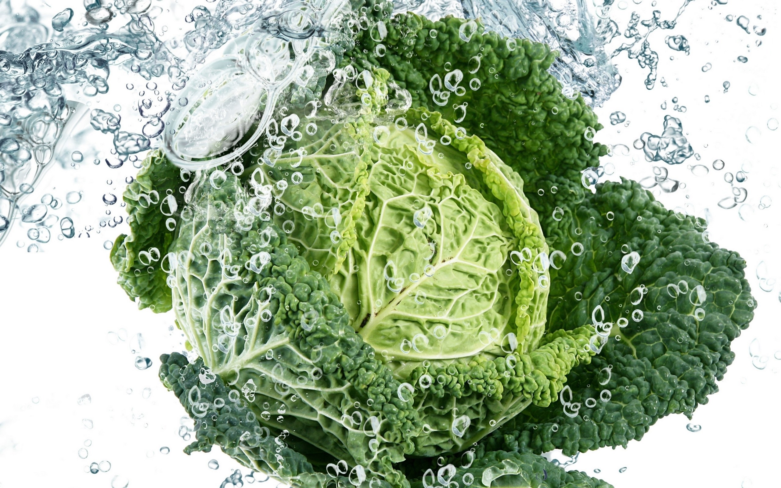 cabbage in splashing water