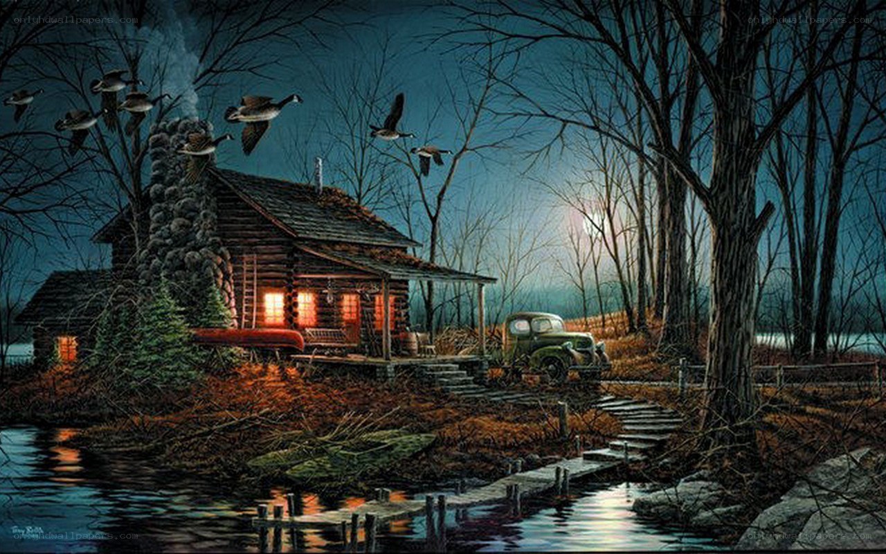 Cabin at night with geese