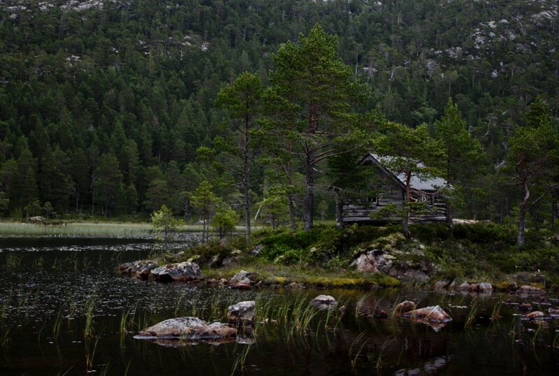 Cabin by a forest lake