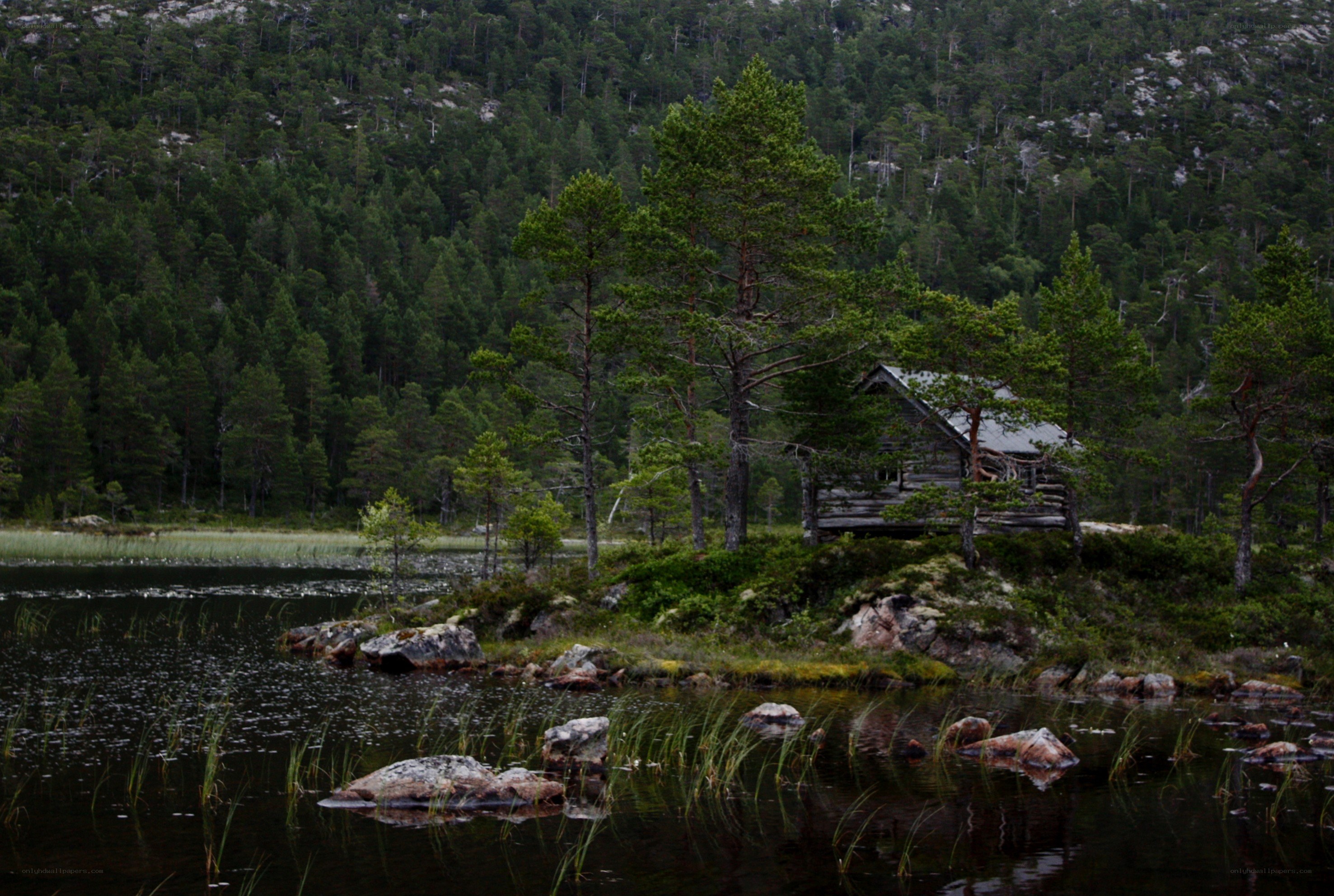 Cabin by a forest lake