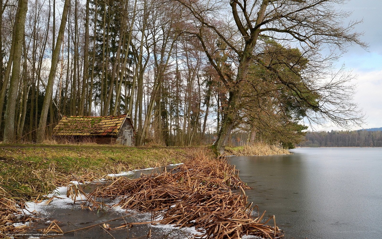 Cabin by a frozen lake