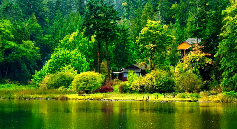 Cabin by a Lake — Green, Serene, Afternoon