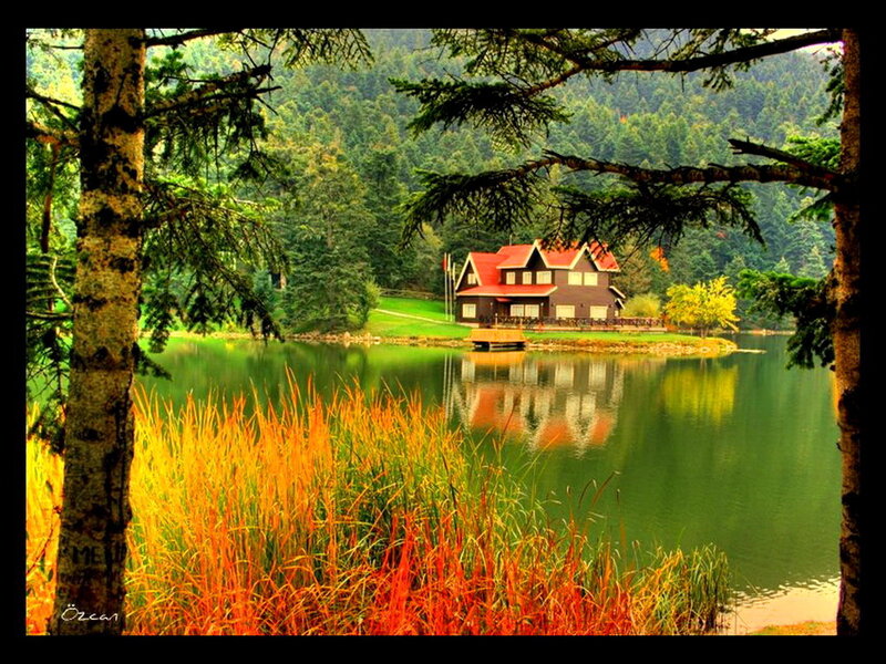 Cabin by a Lake — Green, Serene, Autumn