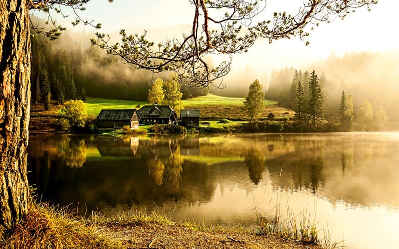 Cabin by a Lake — Green, Serene, Morning, Photograph