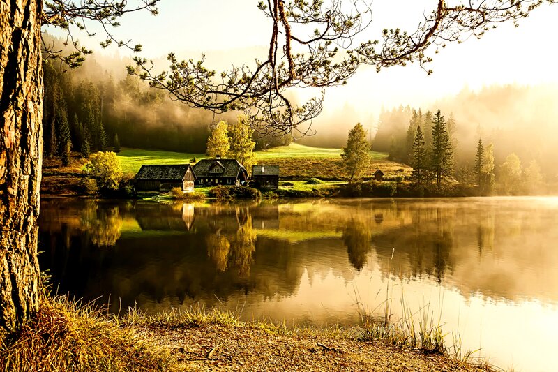 Cabin by a Lake — Green, Serene, Morning, Photograph, Trees