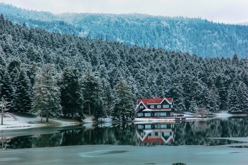 Cabin by a Lake — Green, Serene, Winter