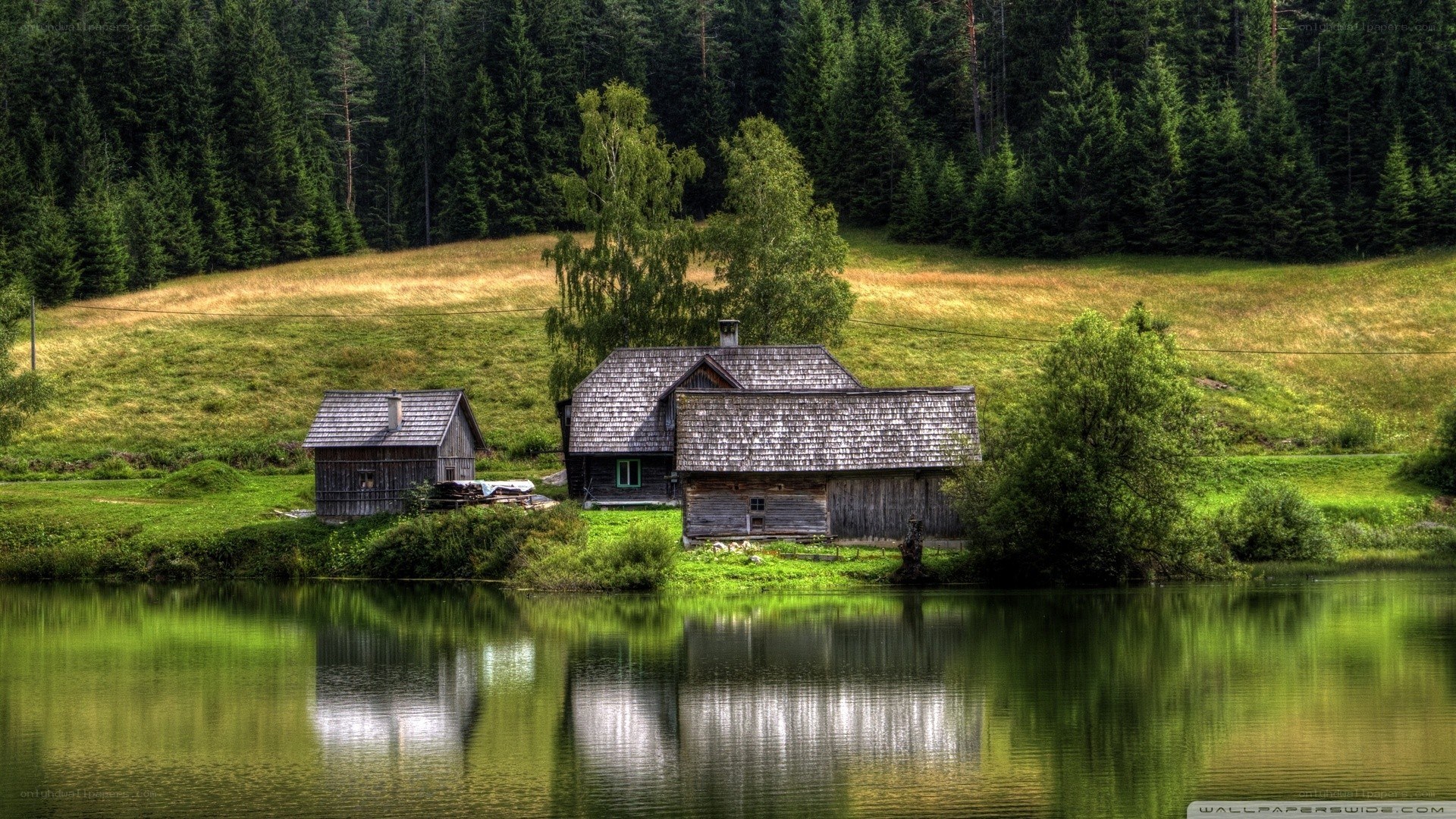 Cabin by a lake in the forest
