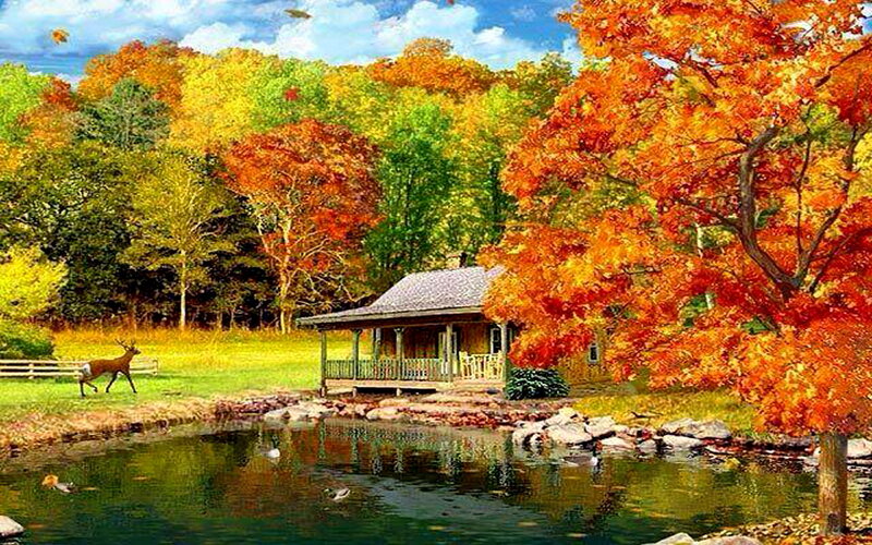 Cabin by a Pond — Orange