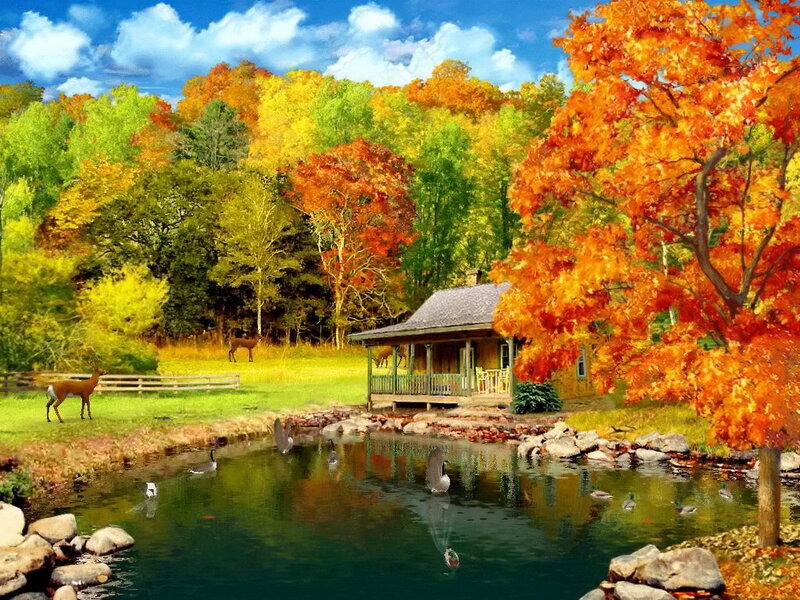Cabin by a Pond