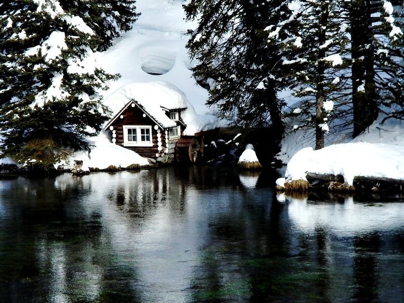 Cabin by a River — White
