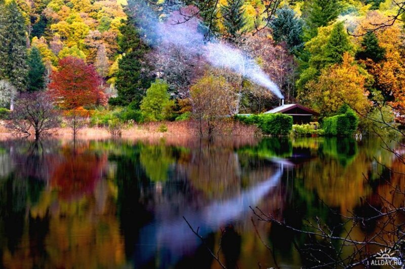 Cabin by Autumn Lake — Green
