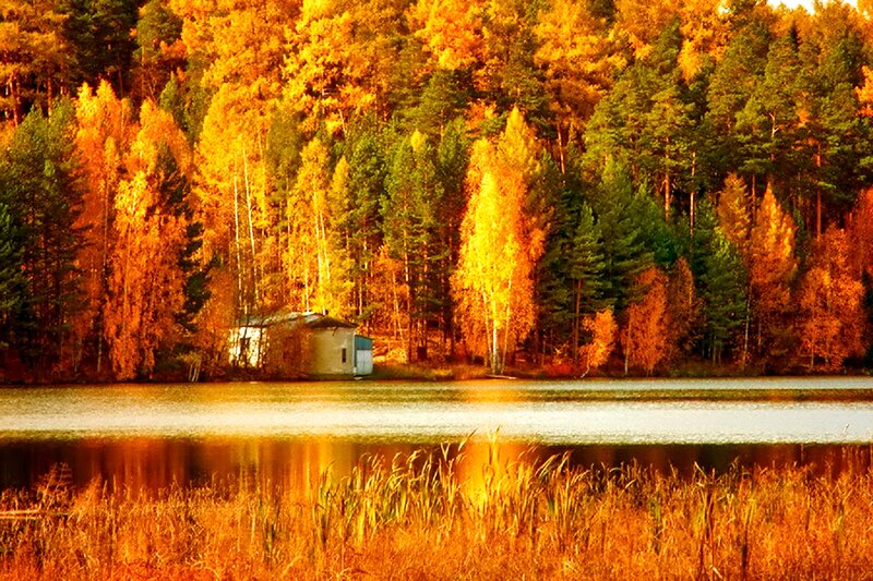 Cabin by Autumn Lake — Orange, Serene