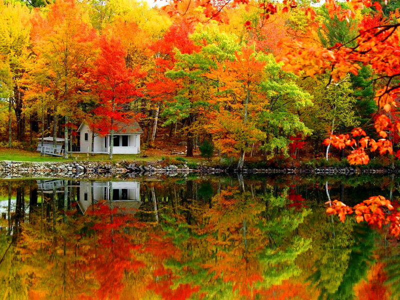 Cabin by Autumn Lake — Red, Serene