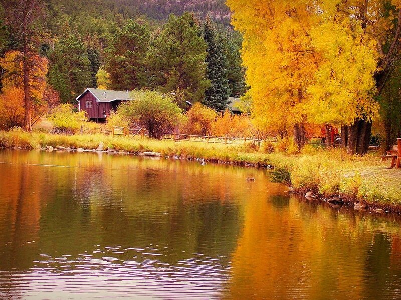 Cabin by Autumn Lake — Yellow