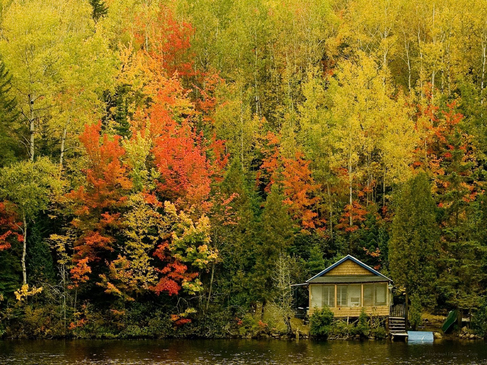 Cabin by autumn lake