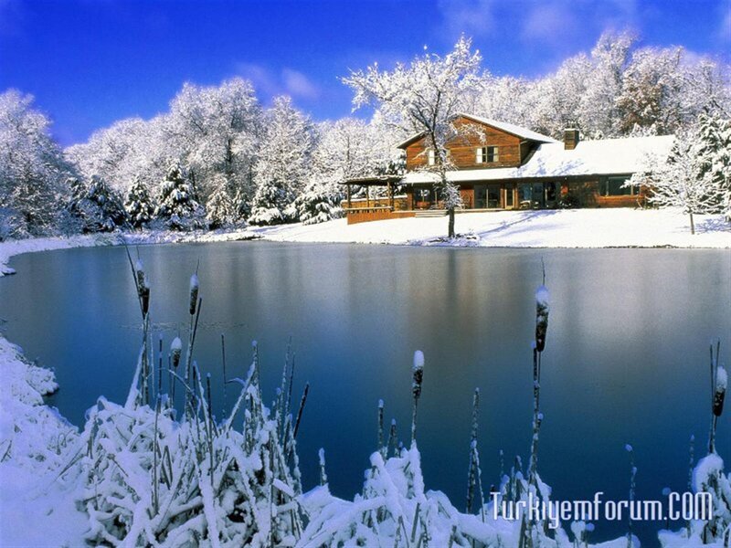 Cabin by Frozen Lake — Blue, Serene, Winter