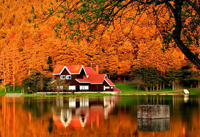Cabin by Lake — Orange, Serene