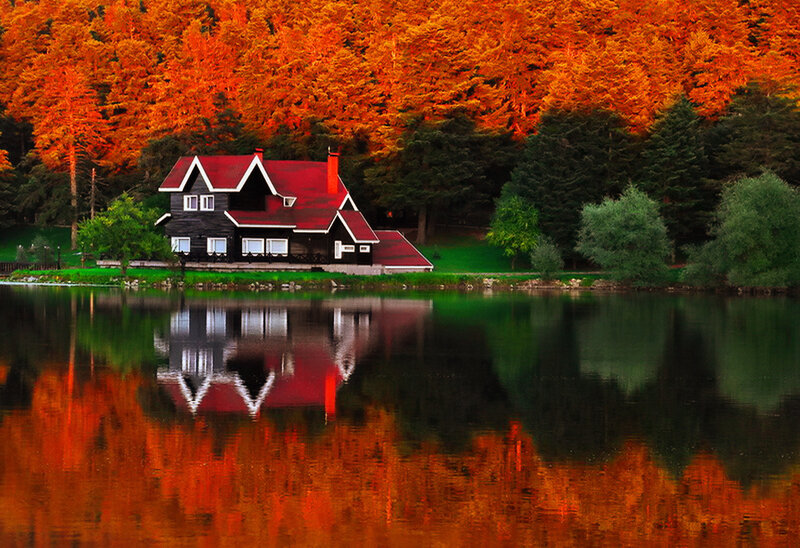 Cabin by Lake — Orange