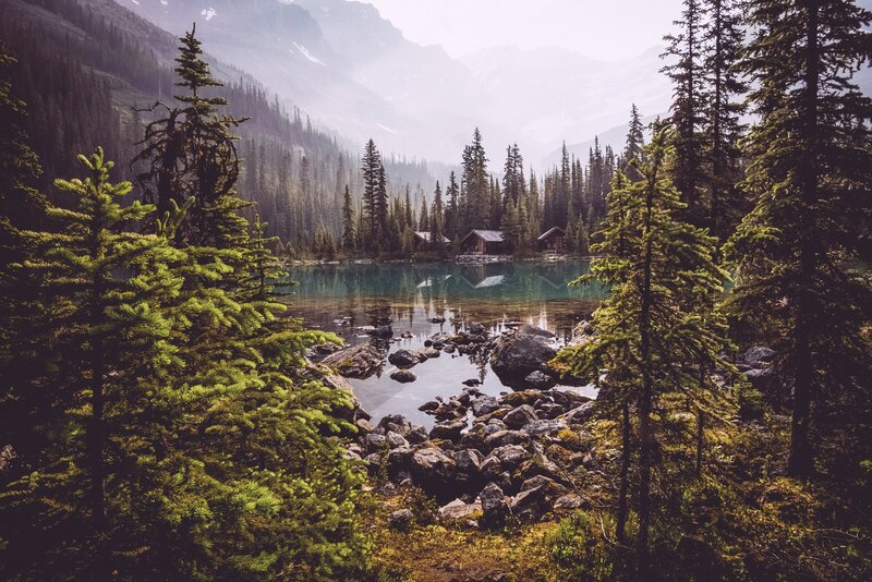 Cabin by Mountain Lake — Green