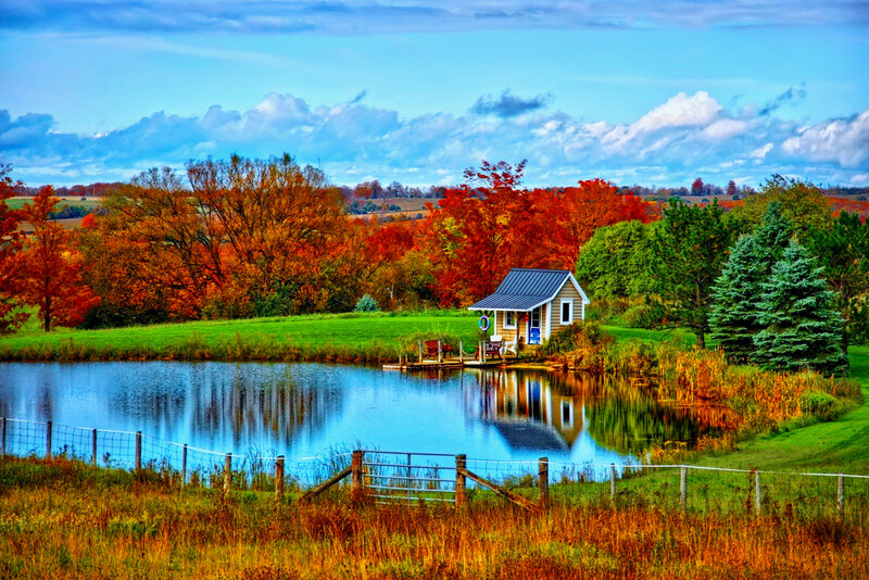 Cabin by Pond in Autumn — Blue