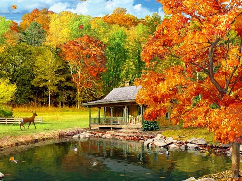 Cabin by Pond in Autumn