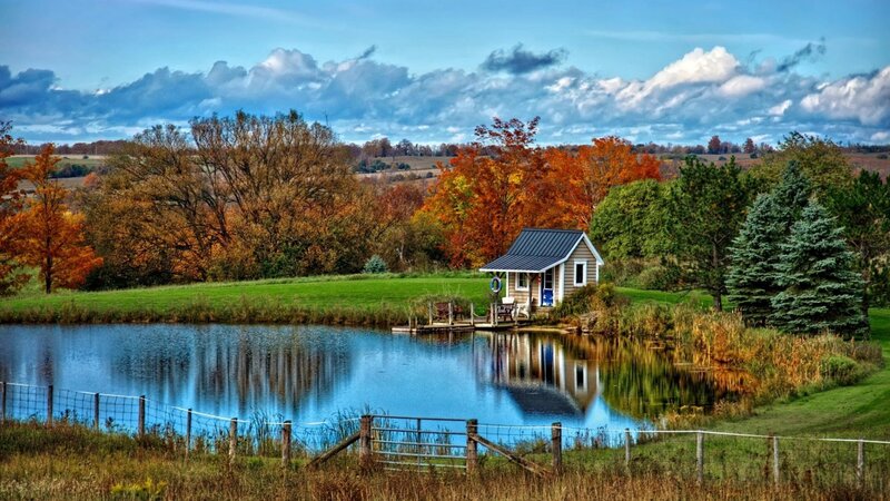 Cabin by Pond