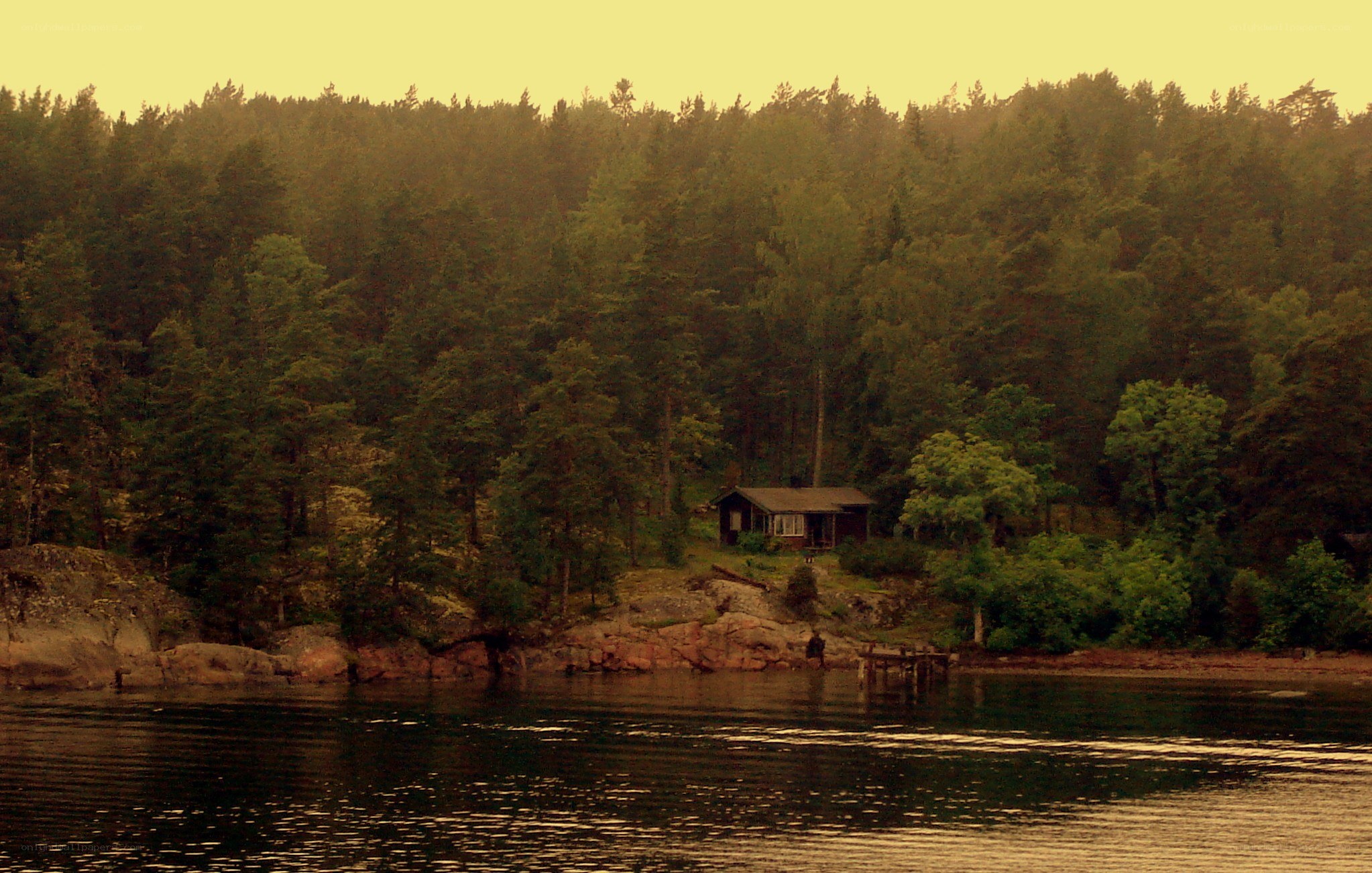 Cabin by the forest lake