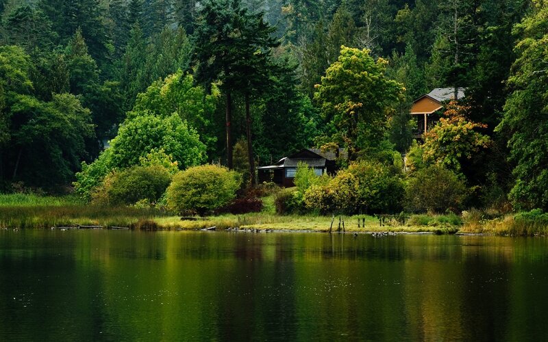 Cabin by the forest lake