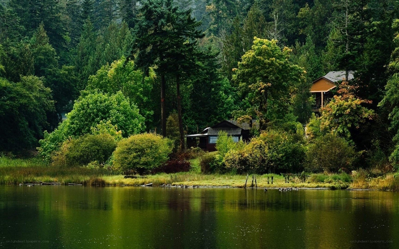 Cabin by the forest lake