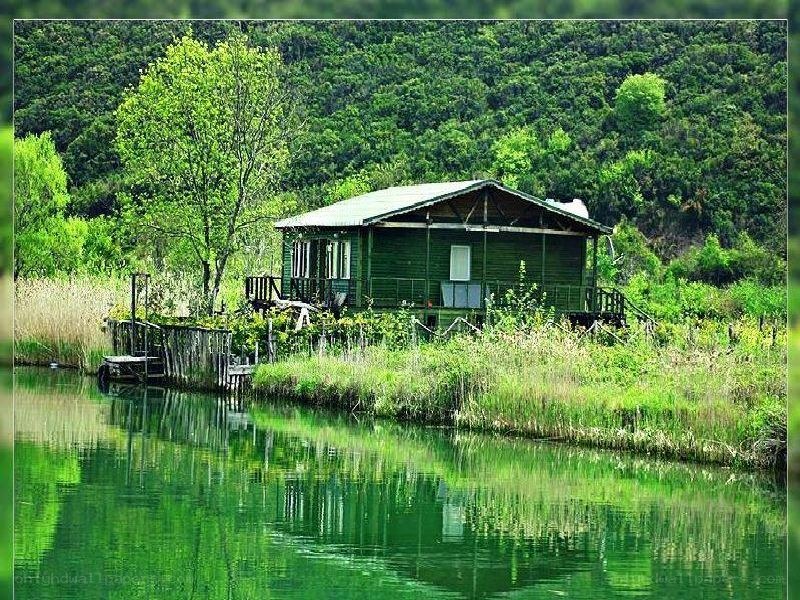 Cabin by the lake