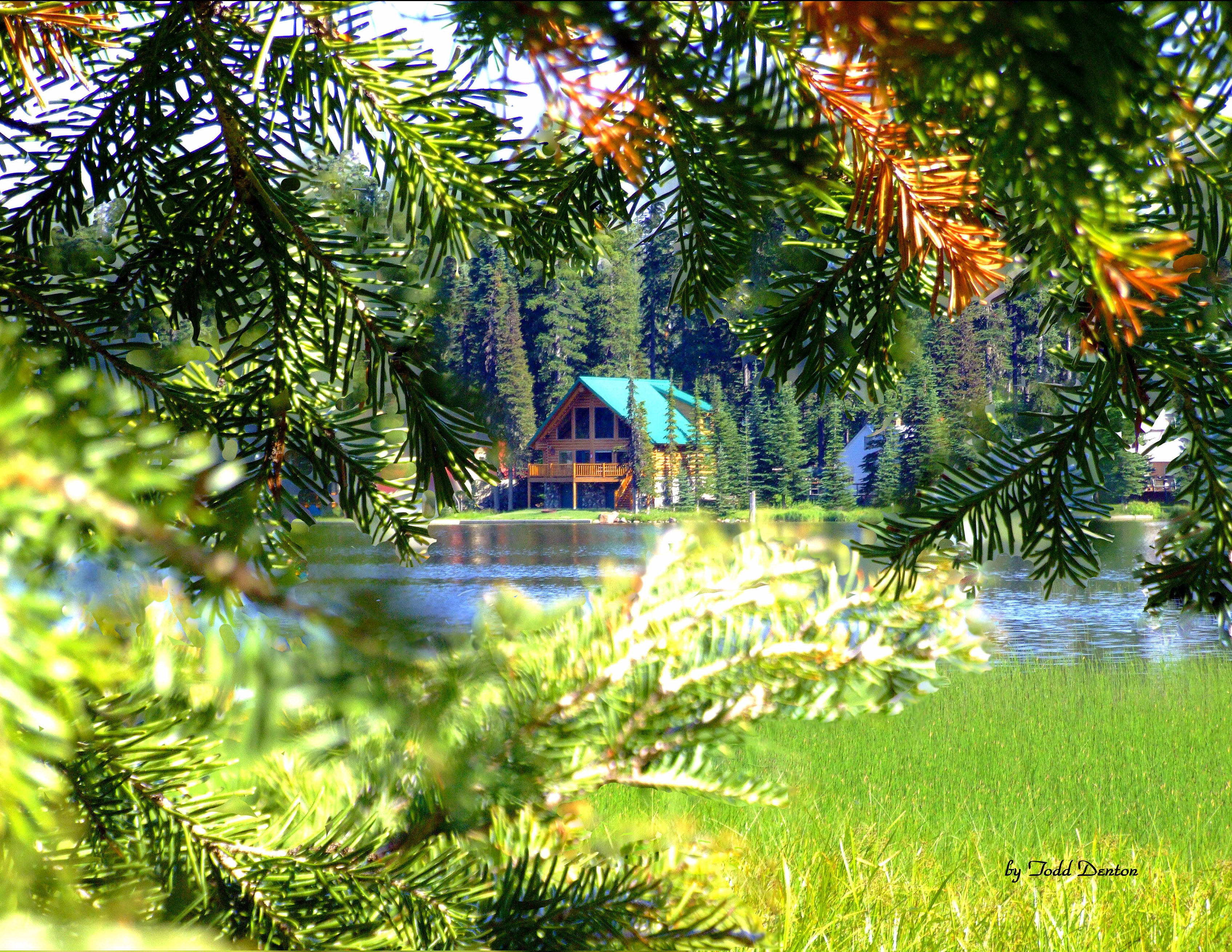 Cabin by the lake