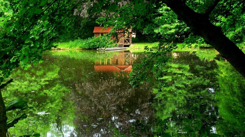 Cabin by the lake in forest