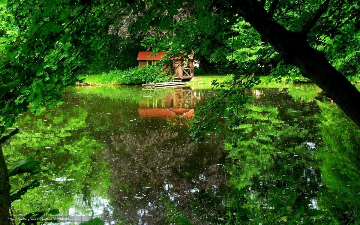Cabin by the lake in forest
