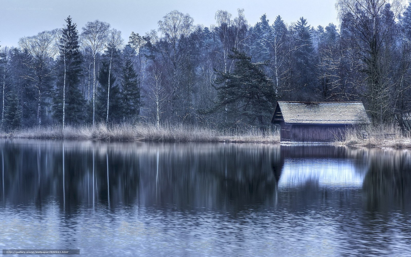 Cabin by the lake in winter