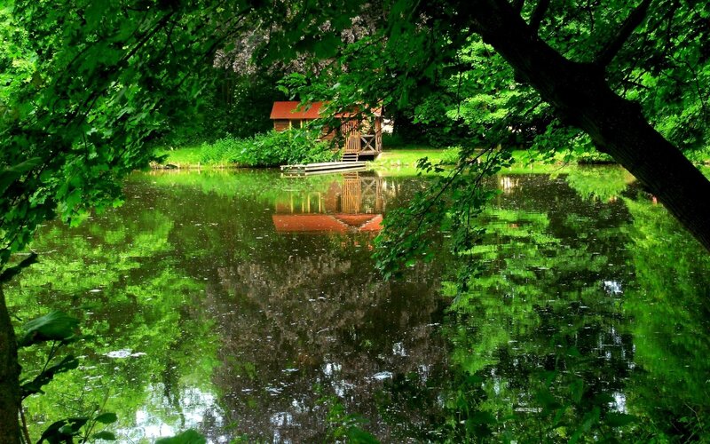 Cabin by the lake