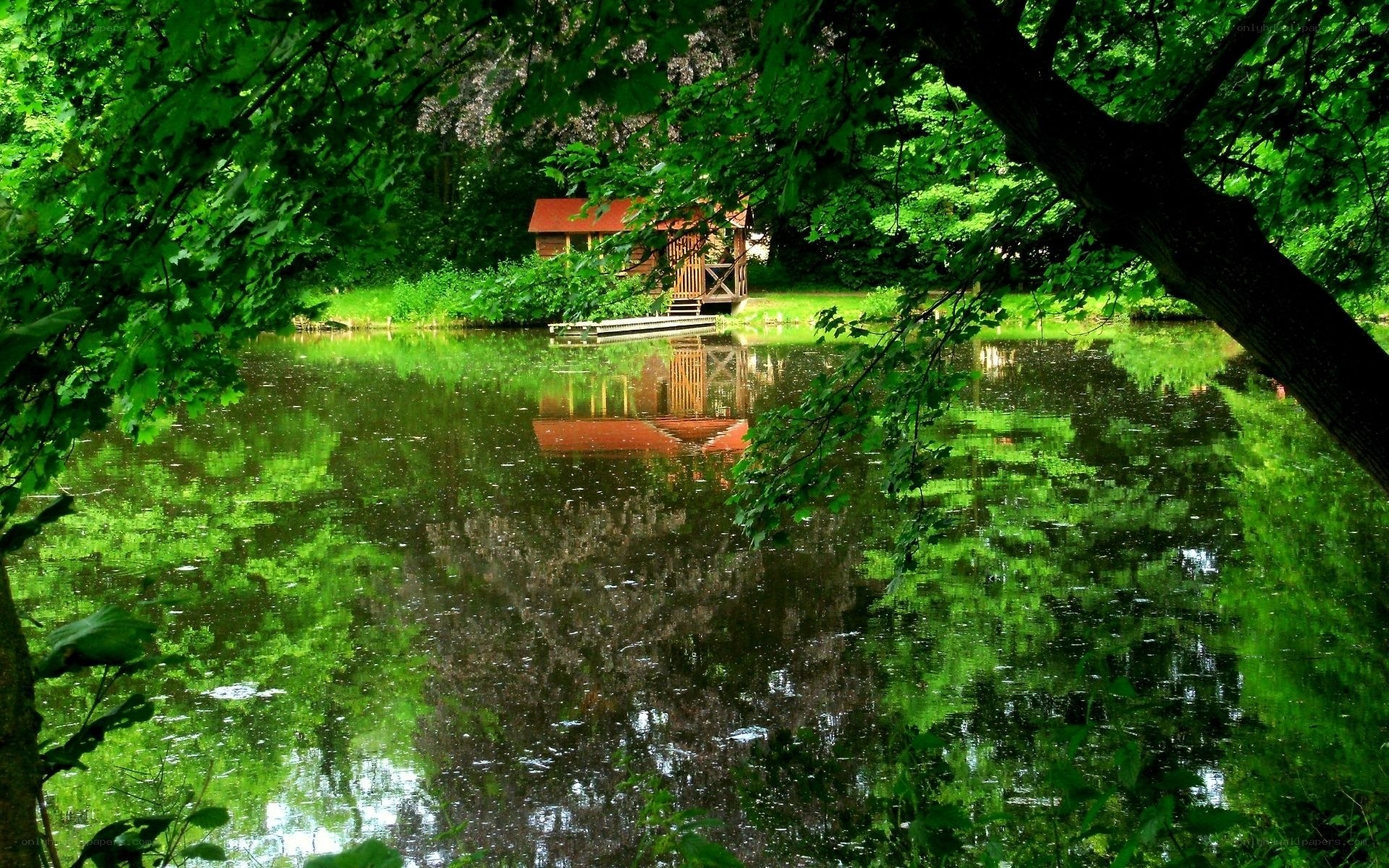 Cabin by the lake