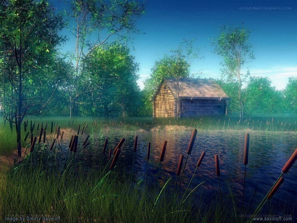 Cabin in a marshy forest