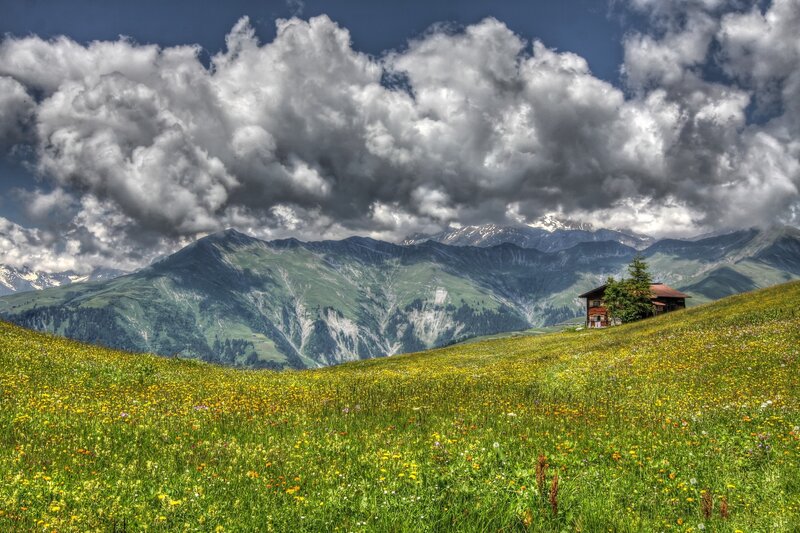 Cabin in Alpine Meadow