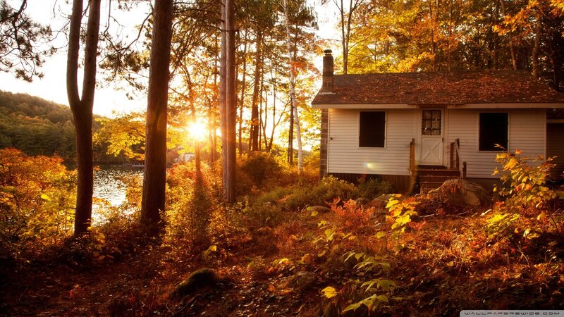 Cabin in autumn forest