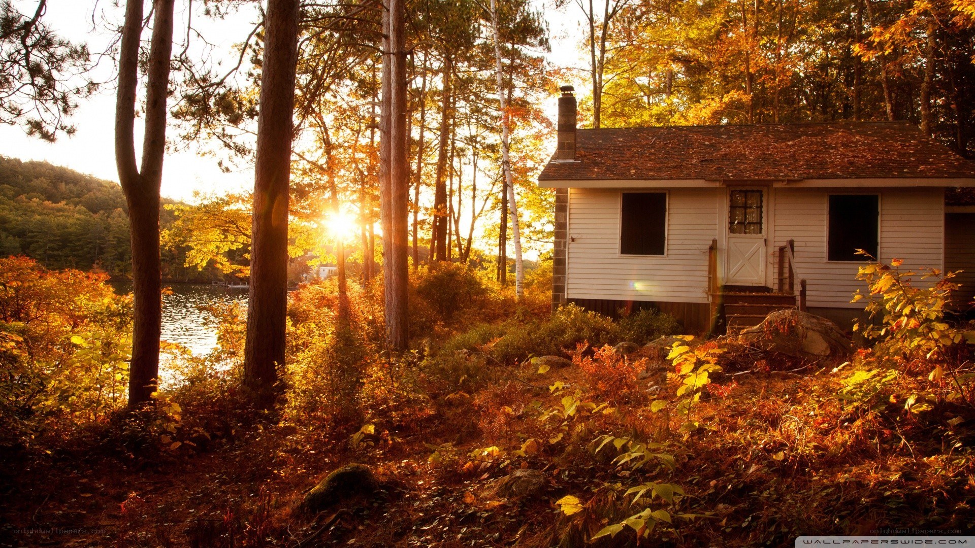 Cabin in autumn forest