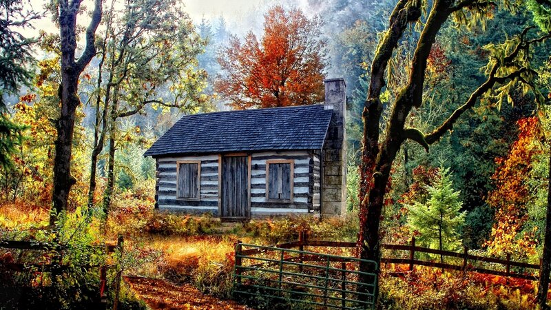 Cabin in autumn forest