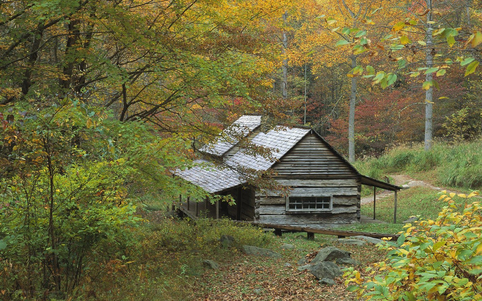 Cabin in autumn forest