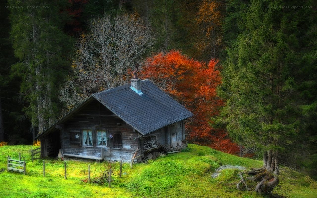 Cabin in autumn forest
