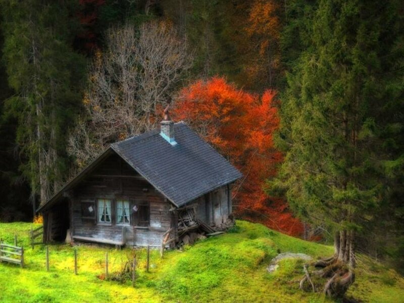 Cabin in autumn forest